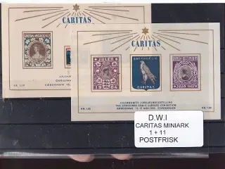 Dansk Vestindien - Caritas Miniark 1 - 11 - Postfrisk