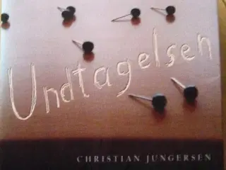 Undtagelsen - roman af Christian Jungersen