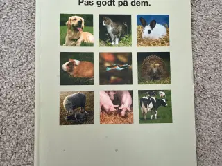 Bøger og dvd film 