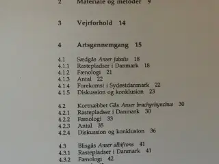 rastende bestande af gæs i danmark 1984-1992, af h