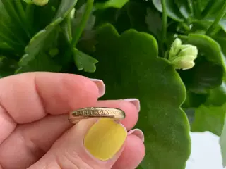 Dyrberg Kern Ring med Zirkonia Sten