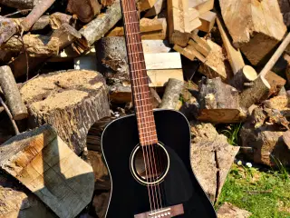 Fender Western Guitar