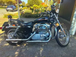 HD XL883C Sportster Custom  evt. bytte