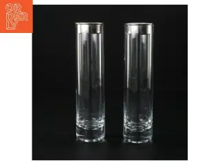 Gennemsigtige glasvaser (str. 19 x 4 cm)