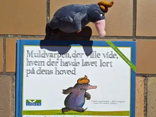 Hvem har lavet en lort på muldvarpens hoved +bamse