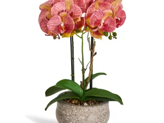 Kunstig plante Orkide 50 cm