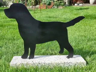 Labrador på sten