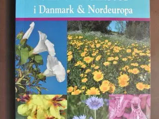 en naturhåndbog til vilde blomster i danmark og no