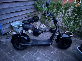 Elscooter Fatbike - 1000W
