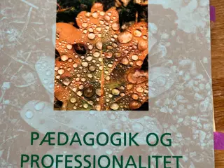 Pædagogik og professionalitet af Erling Lars Dale