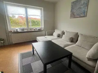 Sofa (Stue), bord, tæppe selges