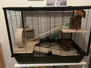 Guldhamster inkl stort bur og tilbehør