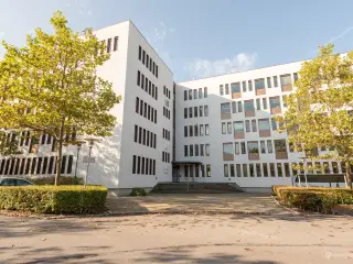 Virtuelt kontor til leje