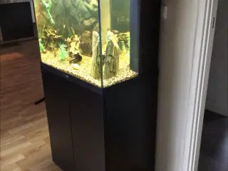 Flot Juwel akvarie med skab