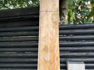 Træ gulv