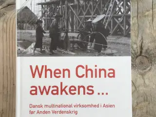 When China awakens, Morten Pedersen, historie samf