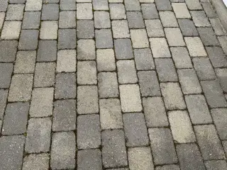 Grå