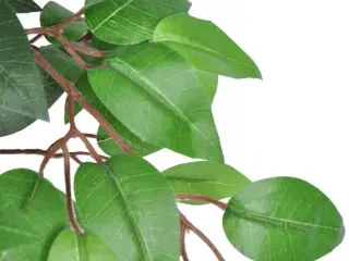 Kunstig Plante Ficus Træ med Potte 110 cm