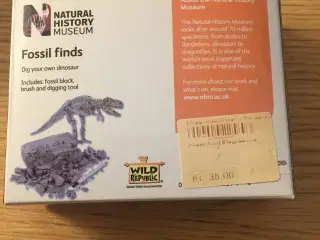 Fossil legetøj til børn