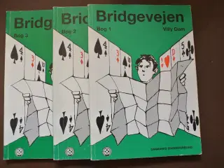 bridgevejen 1-3, af villly dam, emne: hobby 