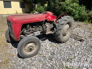 Veterantraktor Massey Ferguson 35