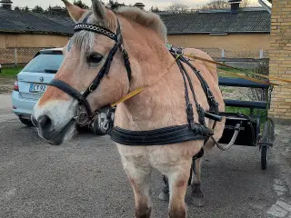 køresele. komplet med ekstra løsdele.