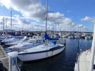 Dejlig Maxi 77 sælges