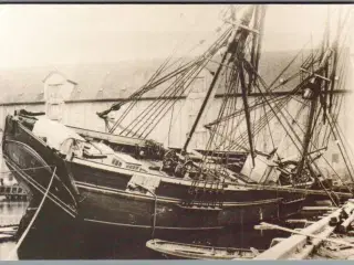 Havfisken under kølhaling ved Den Kongelige Grønlandske Handels Plads - København - Ubrugt