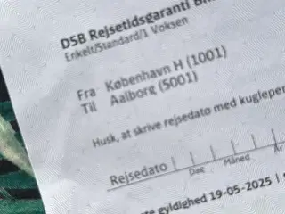 Togbillet fra Kbh til Aalborg- voksen