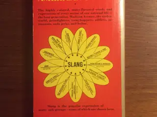 The Pocket Dictionary of American Slang