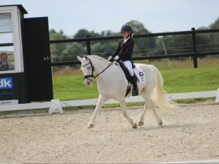 Pony kat.3 - 129 cm