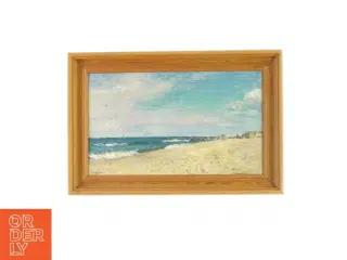 Billede af strand (str. 47 x 31 cm)