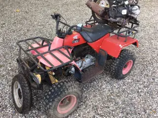 Atv Texas projekt