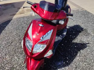 PGO T-Rex