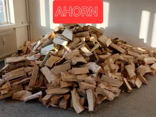 Ahorn & Ask brænde