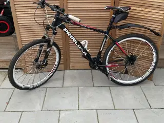 Principia Evoke