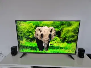 55" LG smart tv 