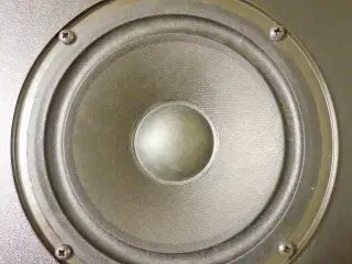 Perfekt Gave ! - Sony SS-E107V Speaker System