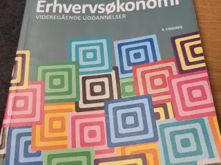 Erhvervsøkonomi videregående uddannelser 