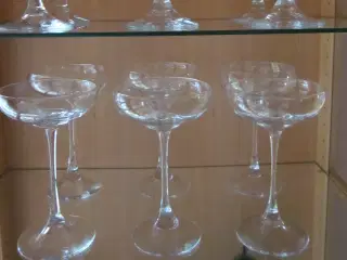 12 stk champagneskåle Holmegård Plaisir glas
