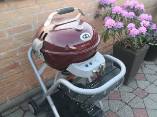Grill outdoor chef ambri 480 g 