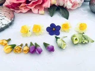 Blomster 