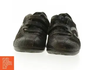 Alberto Guardiani sneakers fra Alberto Guardiani (str. 38 )