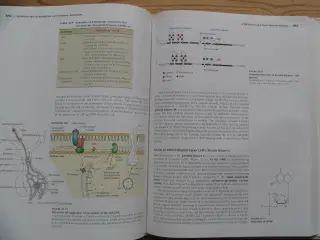 Textbook of Biochemistry with Clinical Correlation