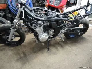 Suzuki GSF 650 Bandit