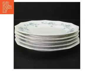 Porcelænsmiddagstallerkener med blåt blomstermønster fra Rosenthal (str. 22x2 cm)