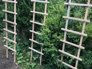 Espalier