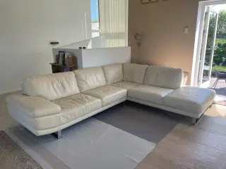 Lædersofa