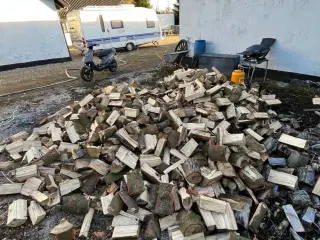 Grantræ kløvet og næsten tørt