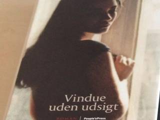 Vindue uden udsigt